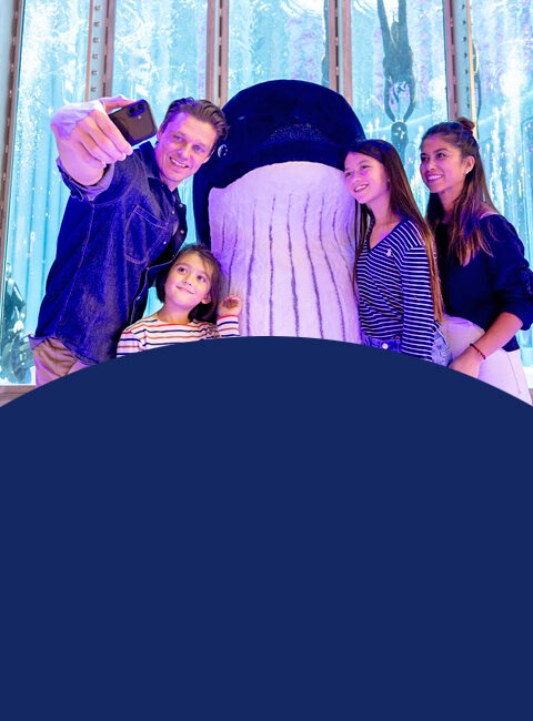 © Messe Düsseldorf / A. Wiese